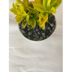 Bazalt Siyah ( 1-2 cm. Boy / 10 kg. ) Dolomit Dekoratif Çakıl Taşı