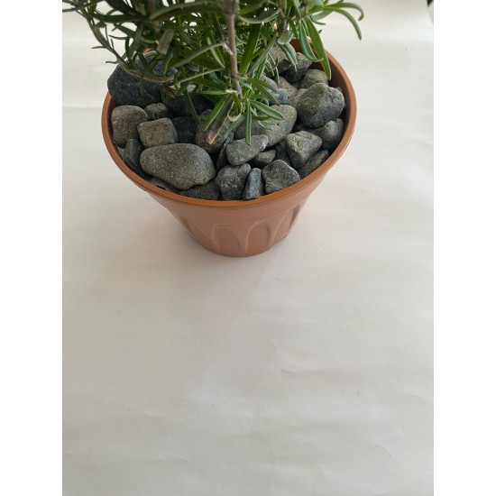 Bazalt / Siyah / Dolomit (2 -4 CM. BOY / 3 KG.) Dekoratif Çakıl Taşı.