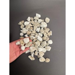  Beyaz / Ponza / Volkanik / Taş ( 2.5 cm. Boyda / 3 LT )