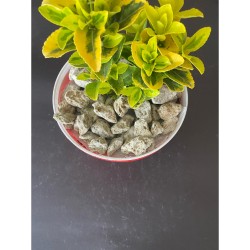  Beyaz / Ponza / Volkanik / Taş ( 2.5 cm. Boyda / 6 LT )