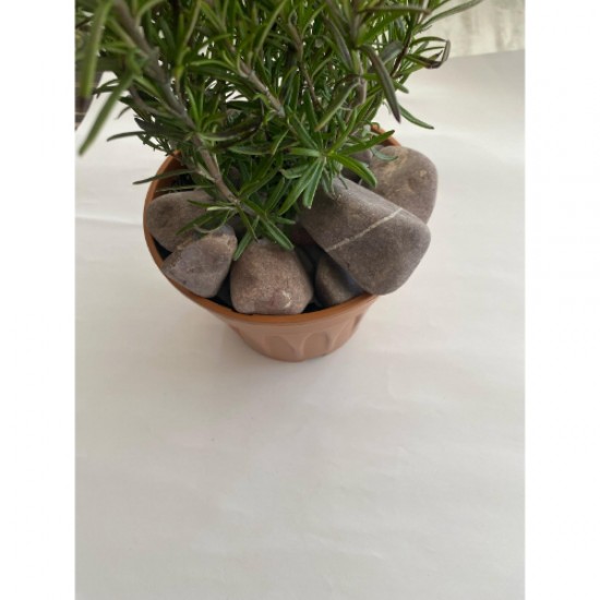 Bordo Dolomit ( 4-6 cm. Boy / 3 kg. ) Dekoratif Çakıl Taşı.