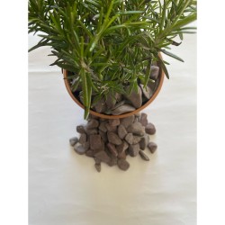  Bordo Dolomit ( 2-4 cm. Boy / 3 kg. ) Dekoratif Çakıl Taşı.