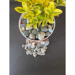 Doğal Nazilli Dere Çakıl Taşı ( 2-4 cm. Boy / 10 kg. ) Bahçe Peyzaj Saksı Taşı