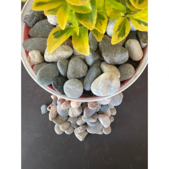 Doğal Nazilli Dere Çakıl Taşı ( 2-4 cm. Boy / 10 kg. ) Bahçe Peyzaj Saksı Taşı