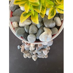  Doğal Nazilli Dere Çakıl Taşı ( 1-2 cm . Boy / 10 kg. ) Bahçe Peyzaj Saksı Taşı