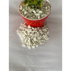 Beyaz Dolomit Taş (1-2 CM. BOY / 5 KG.) Dekoratif Cakıl Taşı