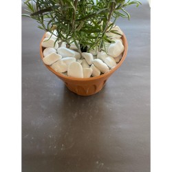  Beyaz Dolomit Taş (2-4 CM. BOY / 3 KG.) Dekoratif Çakıl Taşı.