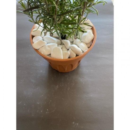 Beyaz Dolomit Taş (2-4 CM. BOY / 3 KG.) Dekoratif Çakıl Taşı.