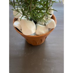 Beyaz Dolomit ( 4-6 cm. Boy / 10 kg. ) Dekoratif Çakıl Taşı