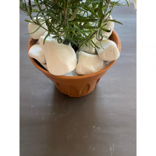 Beyaz Dolomit Taş (4-6 CM. BOY / 5 KG.) Dekoratif Çakıl Taşı.