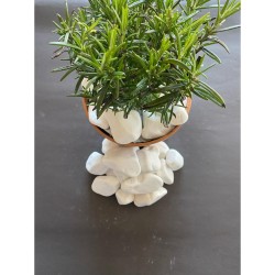 Beyaz Dolomit Taş (4-6 CM. BOY / 5 KG.) Dekoratif Çakıl Taşı.