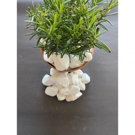 Beyaz Dolomit Taş (4-6 CM. BOY / 5 KG.) Dekoratif Çakıl Taşı.