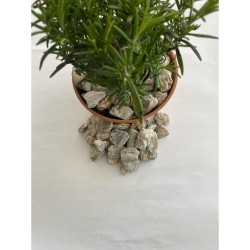 Gnays / Sarı / Gri / Damarlı / Dolomit / Taş ( 2.4 Cm. Boy /5 Kg ) Dekoratif Çakıl Taşı.