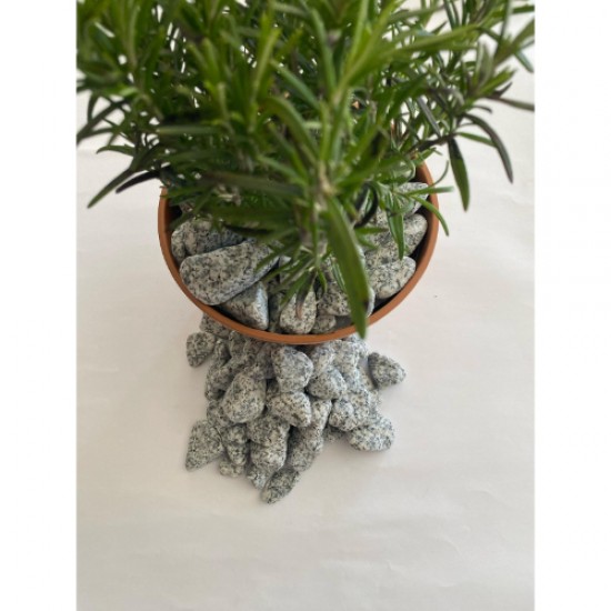  Granit / Benekli / Dolomit / Taş ( 2.4 Cm. Boy / 5 Kg ) Dekoratif Çakıl Taşı.