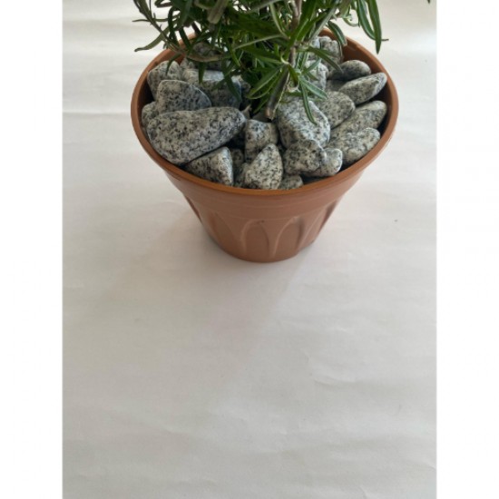  Granit / Benekli / Dolomit / Taş ( 2.4 Cm. Boy / 5 Kg ) Dekoratif Çakıl Taşı.