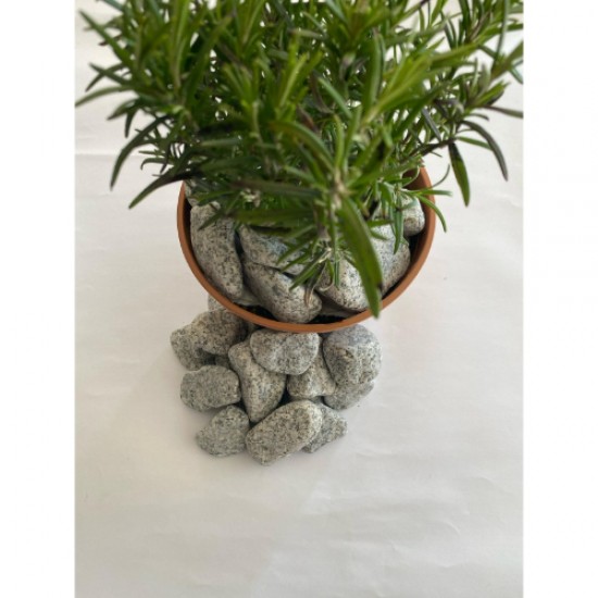 Granit Dolomit ( 4-6 cm. Boy / 10 kg. ) Benekli Dekoratif Cakıl Taş