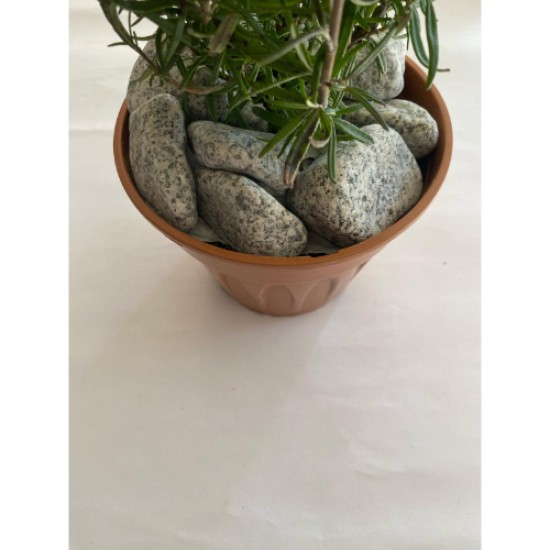 Granit Dolomit ( 4-6 cm. Boy / 10 kg. ) Benekli Dekoratif Cakıl Taş