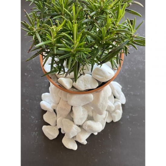 Beyaz Dolomit Kristal ( 2-4 cm. Boy / 3 kg. ) Dekoratif Cakıl Taşı.