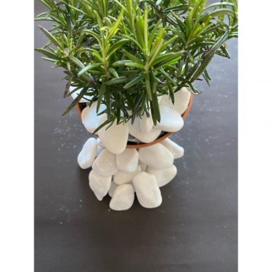 Beyaz Kristal Dolomit ( 4-6 cm. Boy / 10 kg. ) Dekoratif Cakıl Taşı