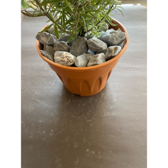 Kırcıllı Dolomit ( 2-4 cm. Boy / 10 kg. ) Antrasit Dekoratif Cakıl Taşı