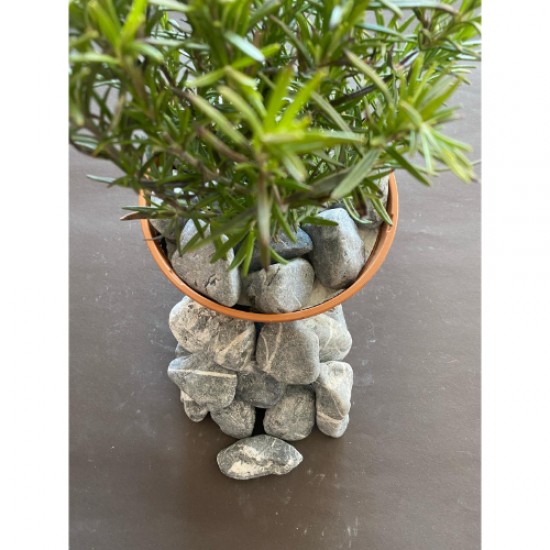 Antrasit / Kırçıllı / Dolomit / Taş (4-6 CM. BOY / 5 KG.) Dekoratif Çakıl Taşı.