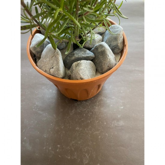 Antrasit / Kırçıllı / Dolomit / Taş (4-6 CM. BOY / 5 KG.) Dekoratif Çakıl Taşı.