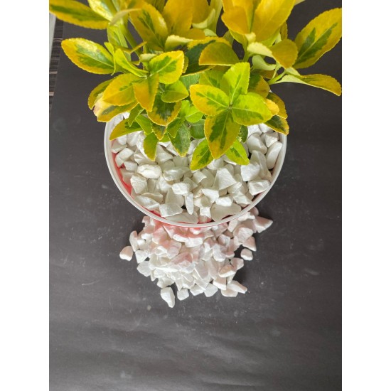 Dolomit Kırık Beyaz ( 1-3 cm. Boy / 10 kg. ) Dekoratif Çakıl Taşı.