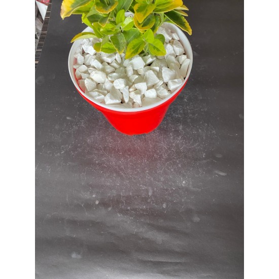 Dolomit Kırık Beyaz ( 1-3 cm. Boy / 10 kg. ) Dekoratif Çakıl Taşı.