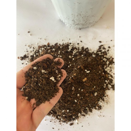 Perlit Karışımlı Orman Torfu ( 3 Litre ) İç Mekan Dış Mekan Bitki Torfu