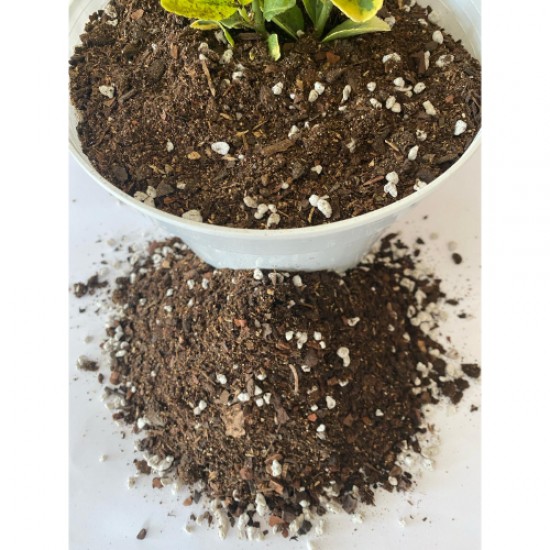 Perlit Karışımlı Orman Torfu ( 3 Litre ) İç Mekan Dış Mekan Bitki Torfu