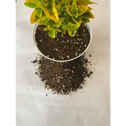 Perlit Karışımlı Orman Torfu ( 9 Litre ) İç Mekan Dış Mekan Bitki Torfu