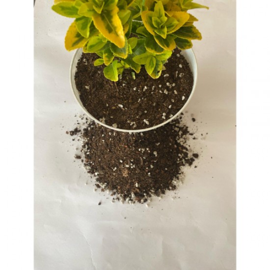Perlit Karışımlı Orman Torfu ( 3 Litre ) İç Mekan Dış Mekan Bitki Torfu