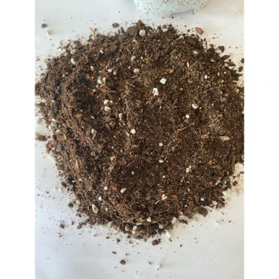 Perlit Karışımlı Orman Torfu ( 3 Litre ) İç Mekan Dış Mekan Bitki Torfu