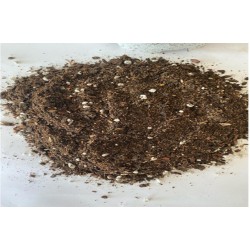 Perlit Karışımlı Orman Torfu ( 6 Litre ) İç Mekan Dış Mekan Bitki Torfu