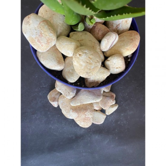 Sarı Çizgili Dolomit Taş ( 3-5 cm. Boy / 10 kg. ) Akvaryum Taşı.