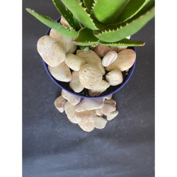 Sarı Çizgili Dolomit Taşı ( 1-3 cm. Boy / 5 kg. ) Akvaryum Taşı.