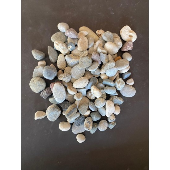 Doğal Nazilli Dere Çakıl Taşı ( 2-4 cm. Boy / 10 kg. ) Bahçe Peyzaj Saksı Taşı