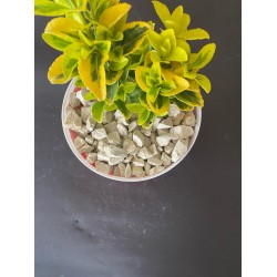 Günbatımı Dolomit ( 1-3 cm. Boy / 5 kg. ) Dekoratif Çakıl Taşı.