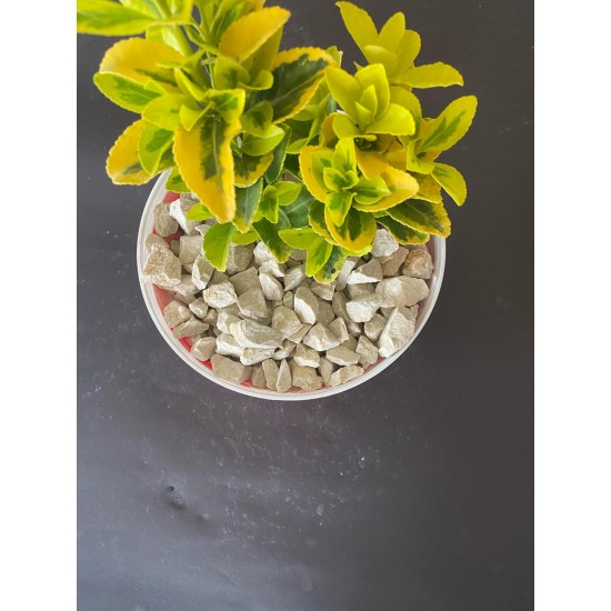 Günbatımı Dolomit ( 1-3 cm. Boy / 3 kg. ) Dekoratif Çakıl Taşı.