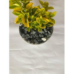 Antrasit / Dekoratif / Kırçıllı Kırık Taş (1-3CM.BOYDA / 10 KG.) Dolomit Cakıl Taşı